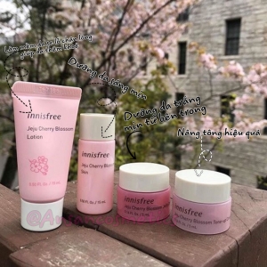 Set dưỡng da I.n.n.i.s.f.r.e.e Jeju Cherry Blossom Special Kit